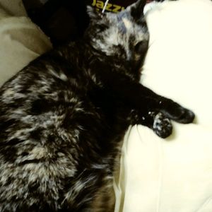 Meet your Posher, Christine